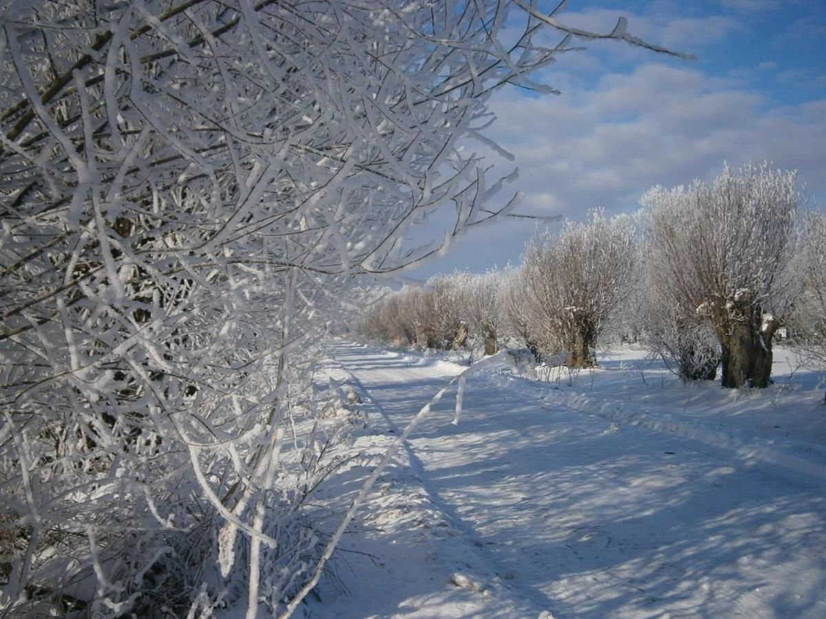 Загородные дома Pakalnės vingis Русне-32