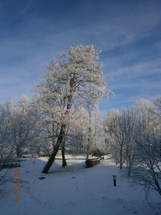 Загородные дома Pakalnės vingis Русне-33